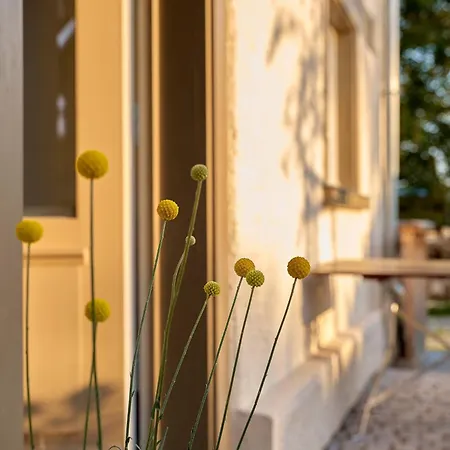 Nyaraló Hof Spittelsberg