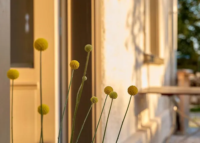 Prázdninový dům Hof Spittelsberg