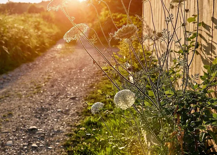 펜션 Hof Spittelsberg